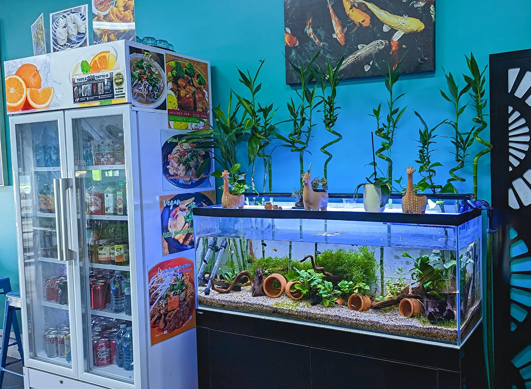 Kitchen 8 Hastings aquarium feature with bamboo plants, teal wall and display fridge